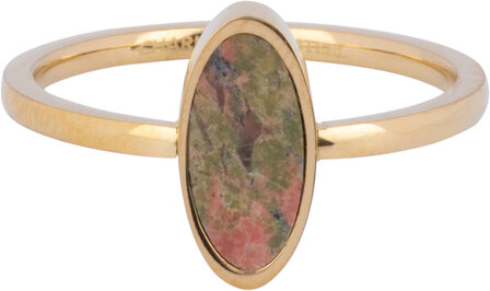 Charmin&#039;s Gold-Colored Oval Signet Ring with Jasper Rainforest Gemstone Steel R1209el R1219