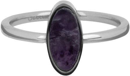 Charmin&#039;s Oval Signet Ring with Amethyst Gemstone Steel R12851219