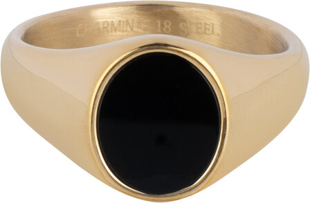 Charmin&#039;s Zegelring met Platte Ovale Zwarte Onyx Edelsteen Goudkleurig R1480