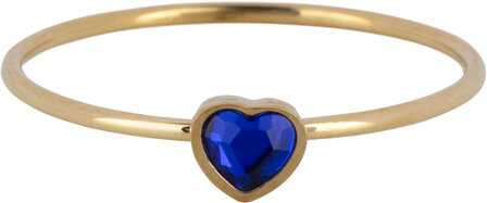 Charmin&#039;s Goudkleurige Ring met Donkerblauwe Saffierkleurige Hartsteen Staal R1584 &ndash; Birthstone September