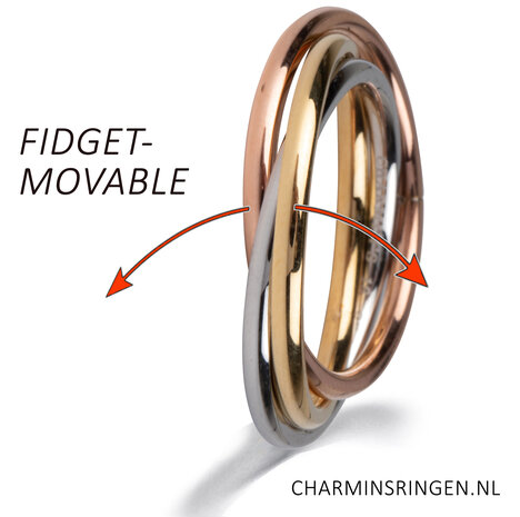 Rolling Anxiety Fidget Ring - Charmin's ringen