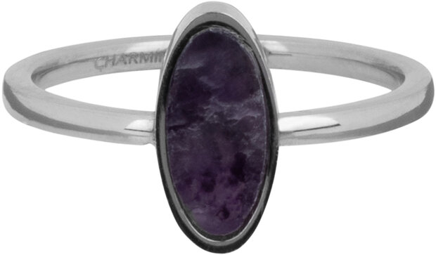 Charmin's Oval Signet Ring with Amethyst Gemstone Steel R12851219