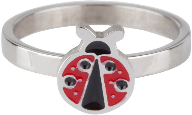 KR63 Lady Bug Shiny Steel