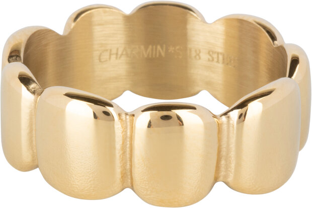 Charmin's Goudkleurige Brede Stalen Ring Gladde Ovalen R1393