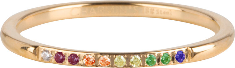 Charmin's Steel Gold-tone Stacking Ring Rainbow Petite Alliance R1397